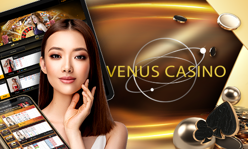 57 win 4455 bet cassino H5